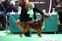 Crufts2011 536